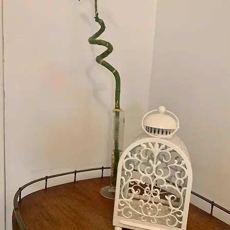 Mina Apartment *