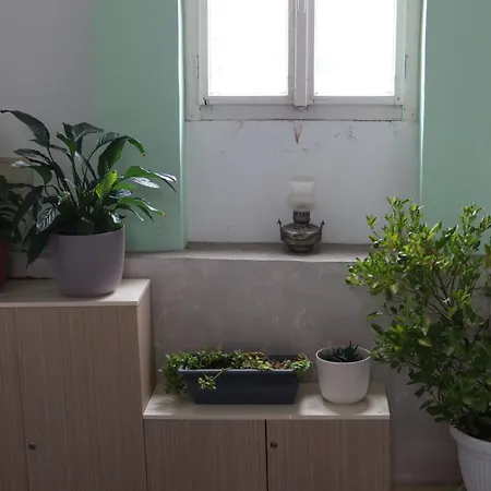 Apartment Mina